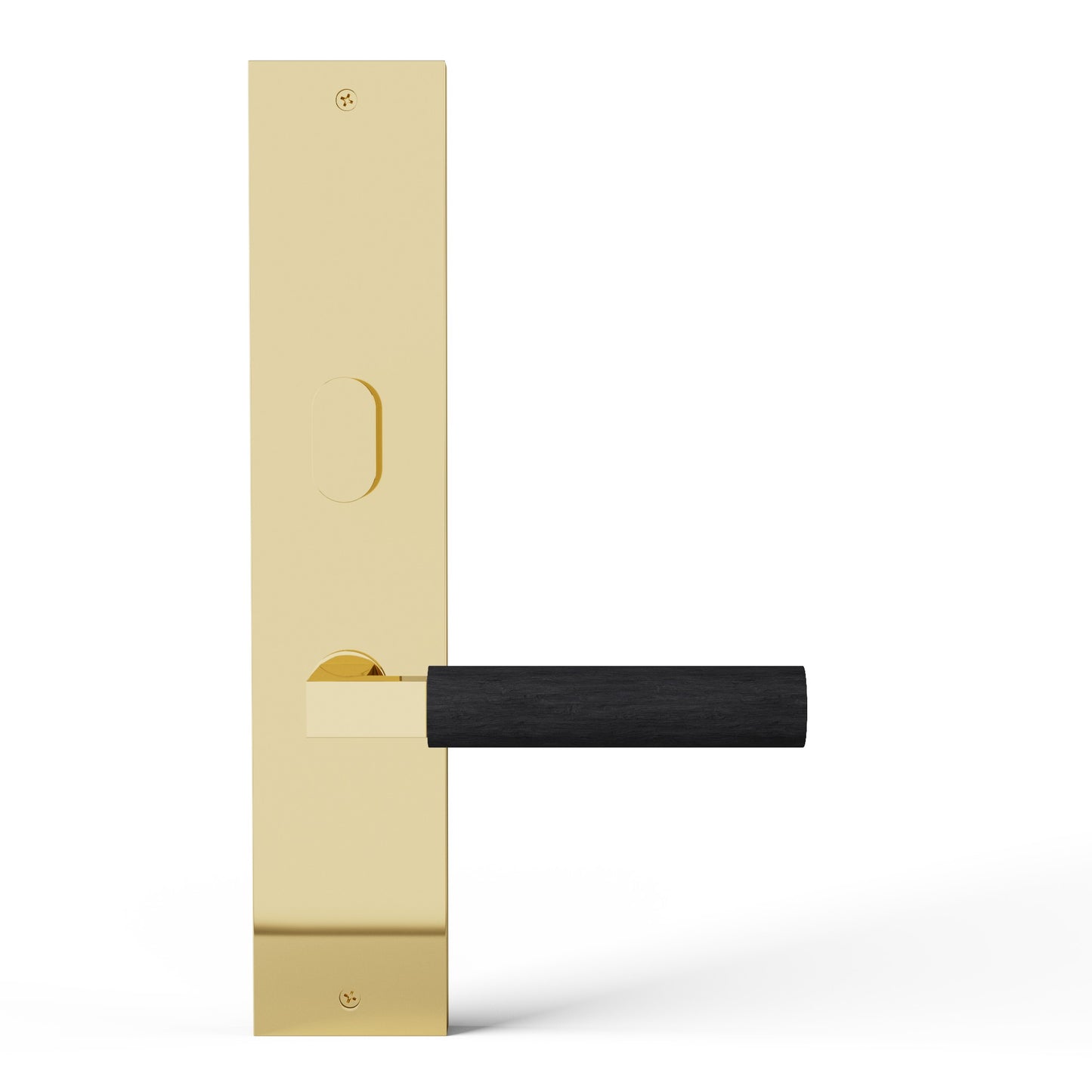 TLX-PS101OA-I-PBU-msu