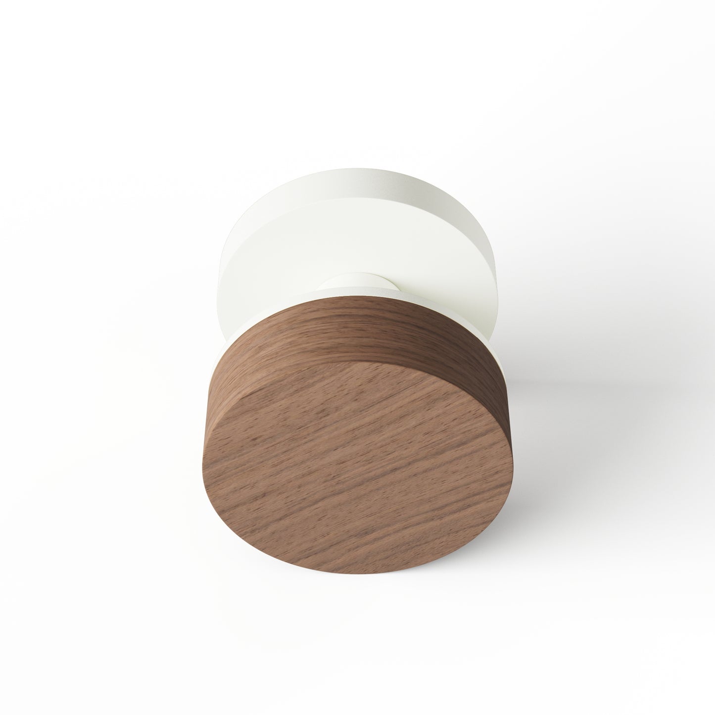 TNK-R05-IEF-WHS-nut-raw