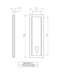 Rectangle flush pull 200x65 with Euro. Cylinder hole